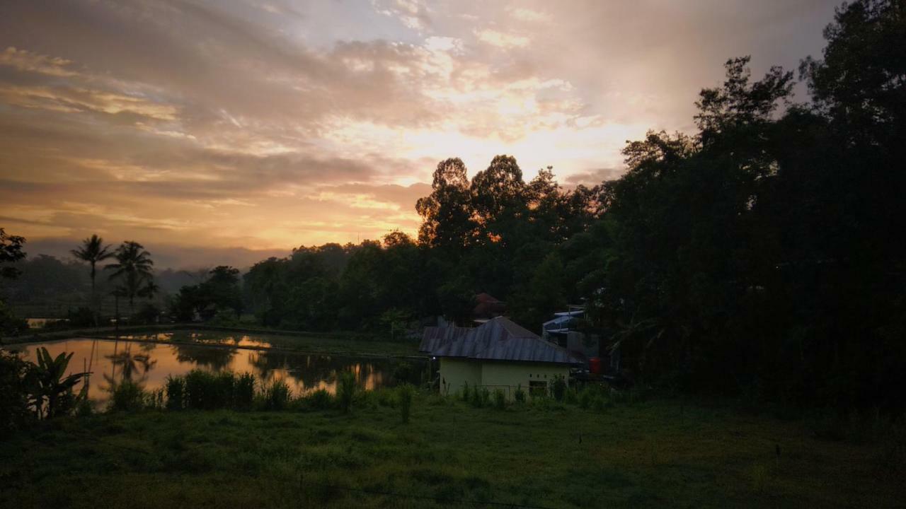 Mama Tia Family Homestay ランテパオ エクステリア 写真